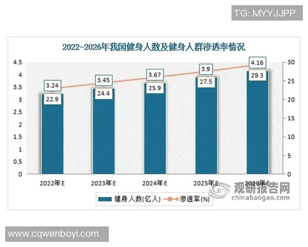 体育俱乐部分类详解及其在不同运动项目中的发展现状分析