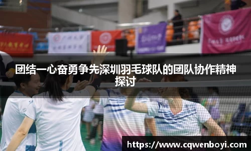 团结一心奋勇争先深圳羽毛球队的团队协作精神探讨