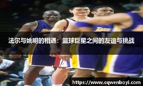 法尔与姚明的相遇：篮球巨星之间的友谊与挑战